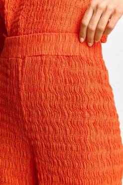 Hose